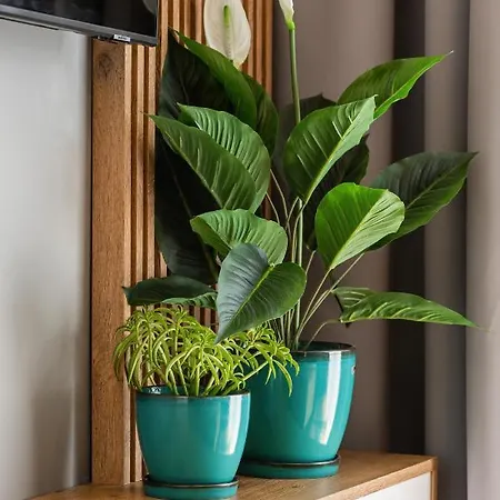 Apartman Baltini Premium Baltic Marina